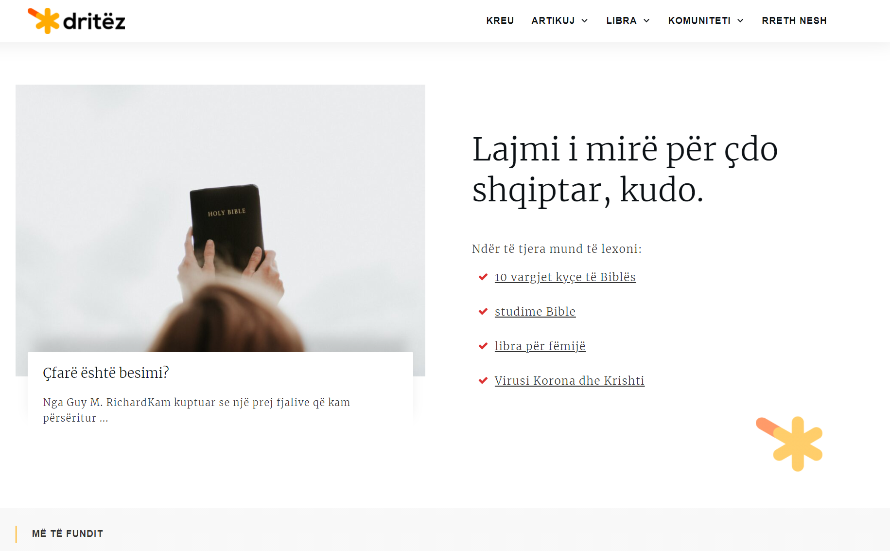 Dritez.al: Custom and Responsive WordPress Design with Integrated Store and Online Courses Functionality